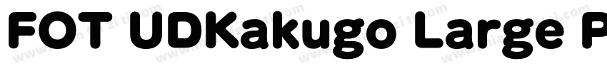 FOT UDKakugo Large Pr6N U字体转换